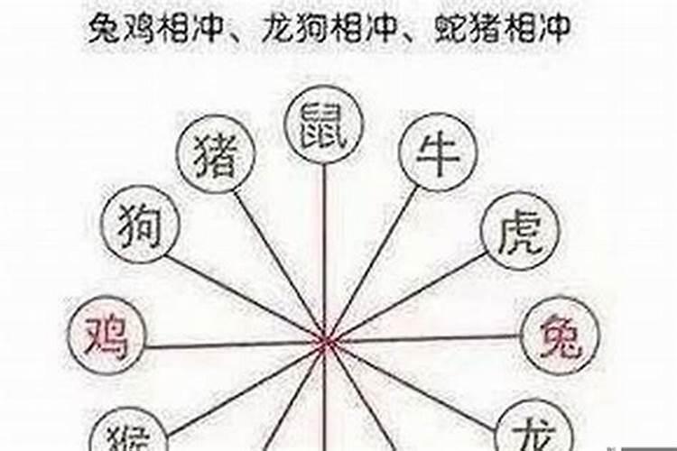 睿的五行属性是什么字