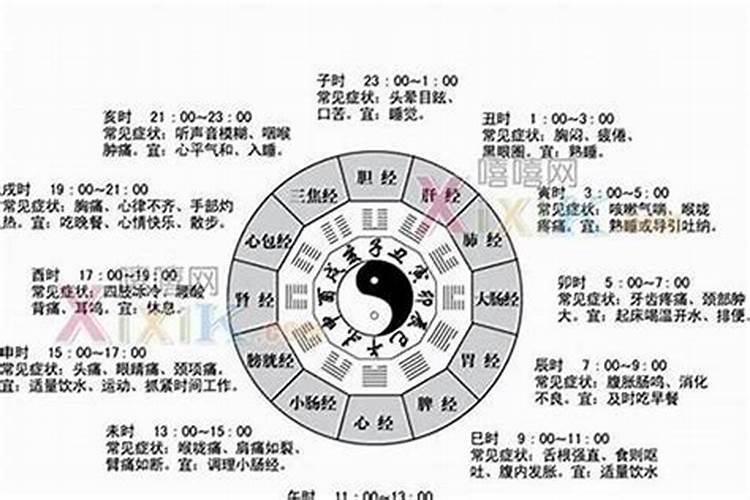 治五行属什么,寓意是什么