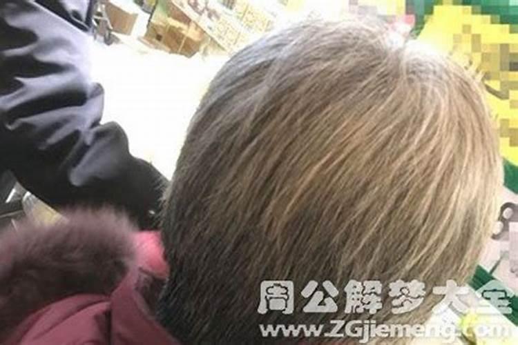 97年属牛的命运和婚姻状况