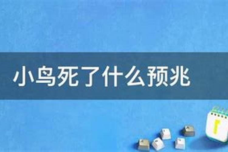 今年虚岁45岁属什么命运