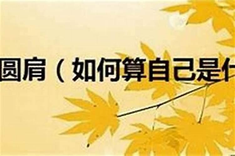 籽字五行属性是什么属性呢