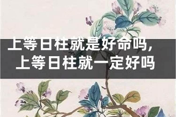 八字如何看有几个子嗣