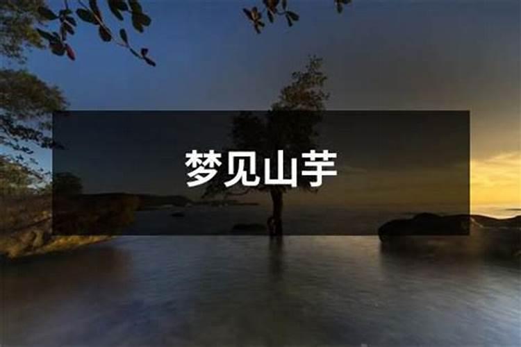 字的五行是怎么确定的