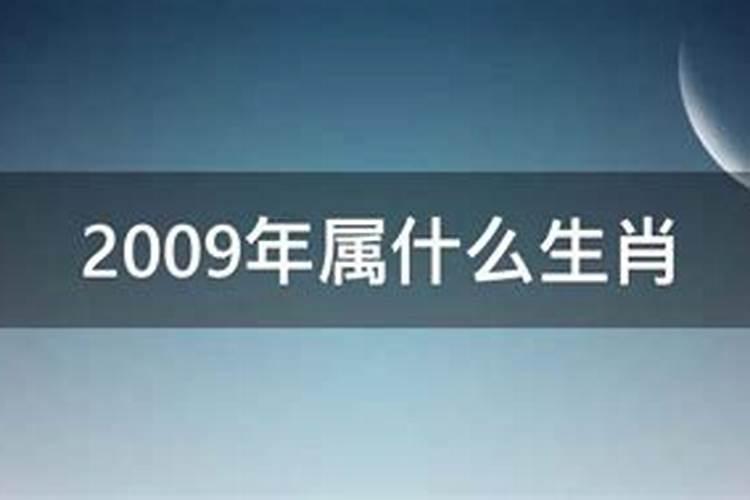 属牛人下半年运势1949年的