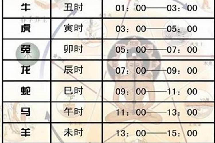 今年本命年24岁