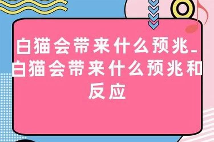 男人梦到棺材预示着什么