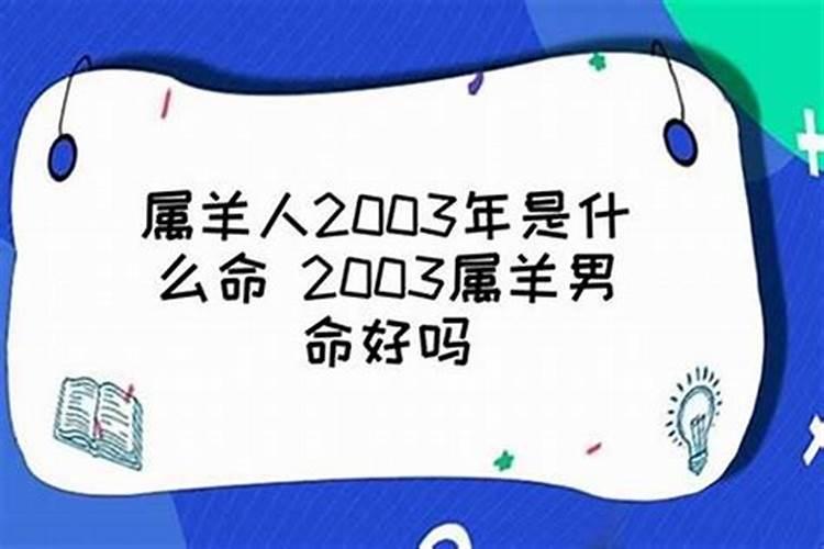 1975属兔2023年的运势及运程男