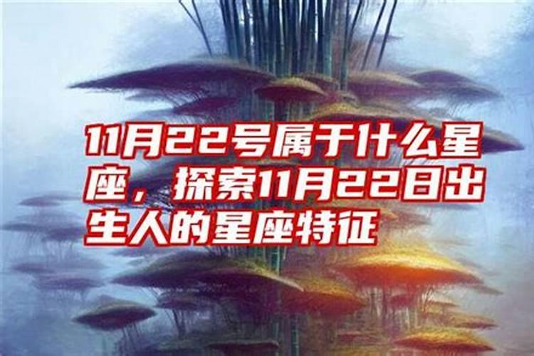 做梦梦见乌龟是什么预兆