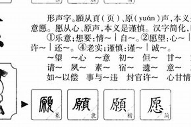 资源整合五行属什么