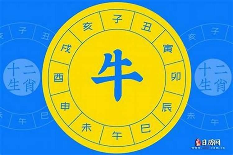 孕晚期梦到水牛是什么意思