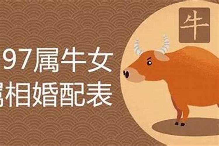 猪宝宝忌什么生肖的父母