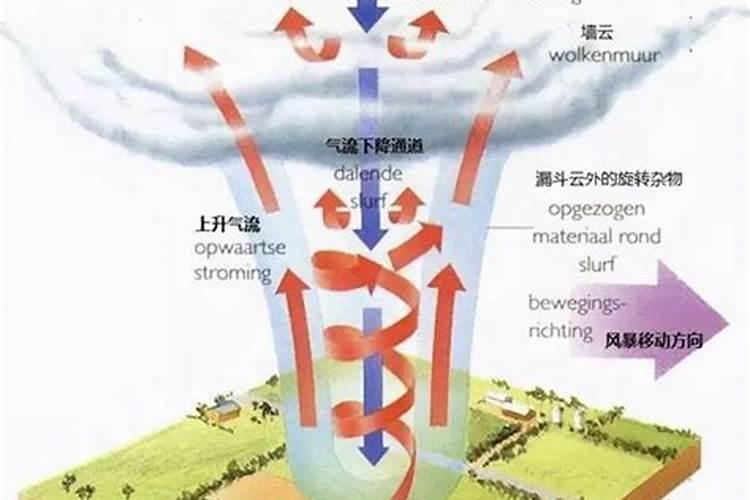 梦见路边停车停不好