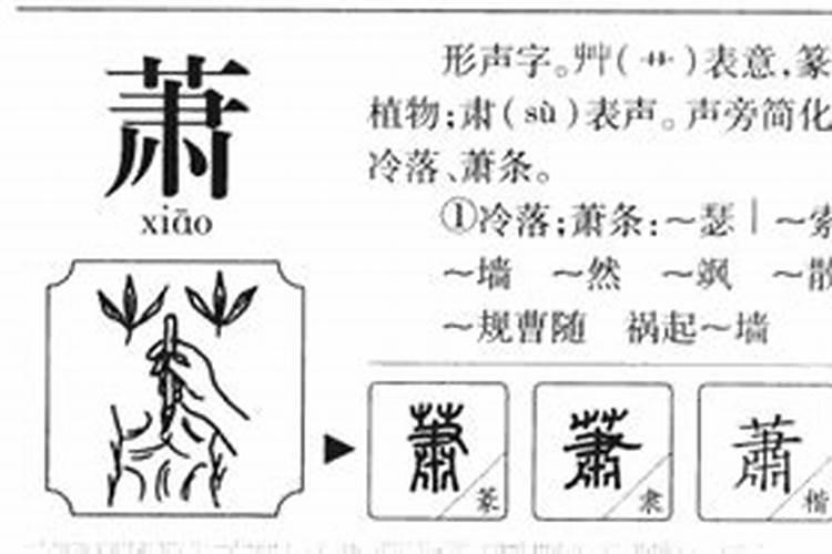 出人头地打个生肖