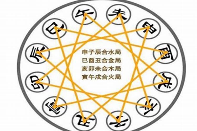 梦到摘杏是什么意思啊和人打架