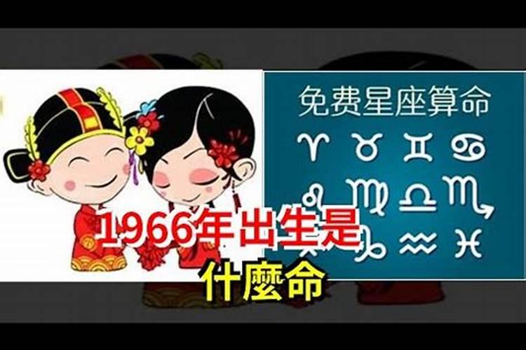 一网情深是什么生肖