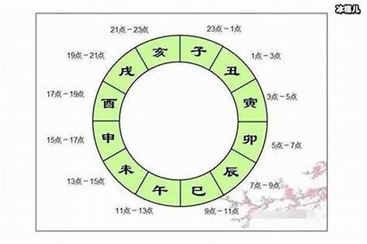 1942年属什么生肖属相