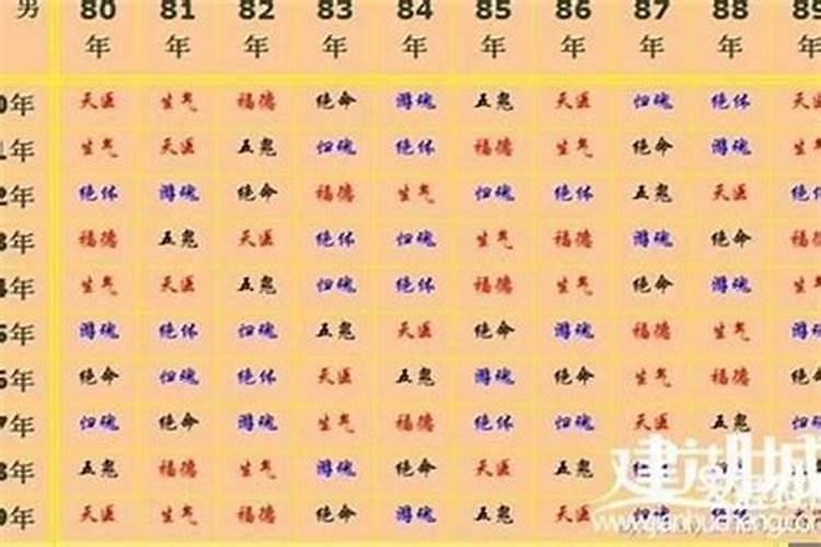 八字排盘解释大全