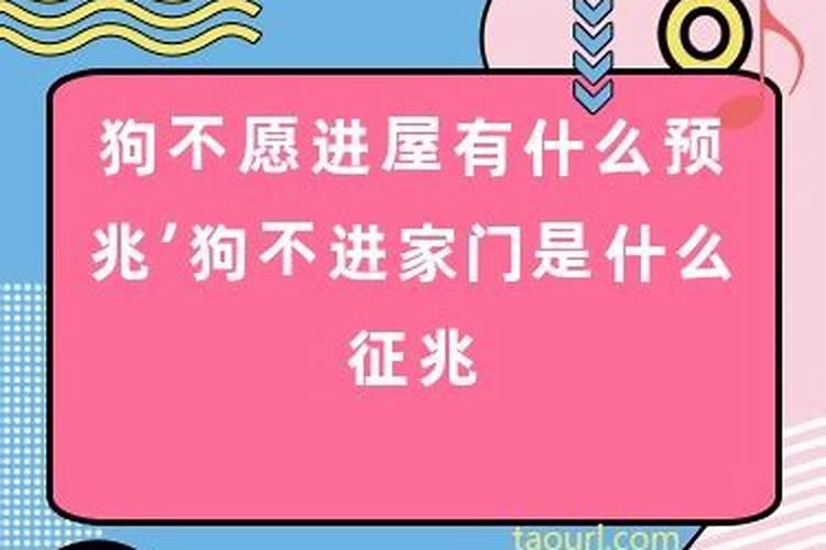 男梦到结婚找不到新娘了