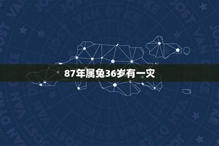 87年属兔人最穷不过36岁