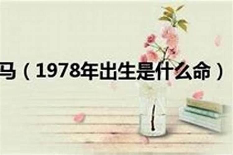 29属什么生肖是哪一年