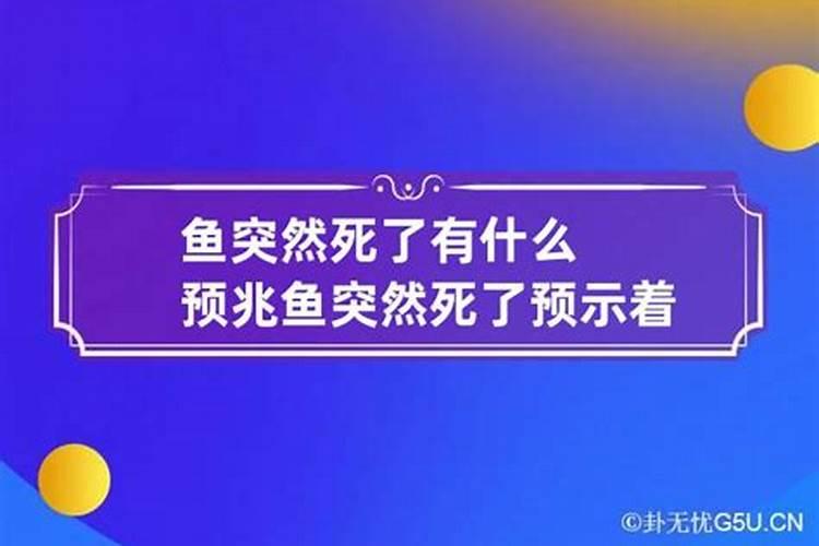 孕妇梦见下体出血怎么回事