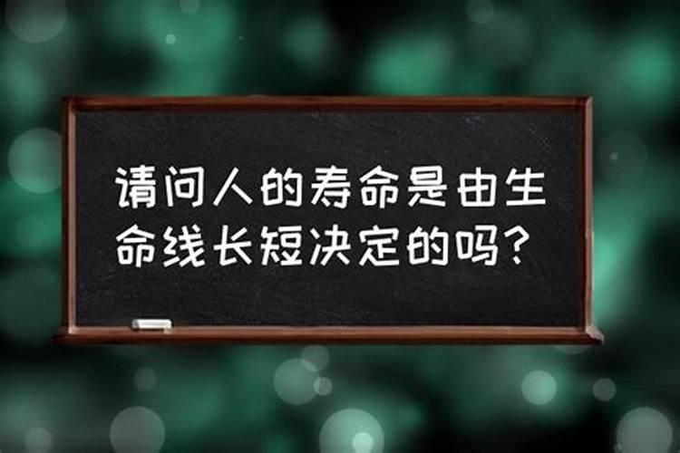 梦见在大海里玩会怎么样的鱼