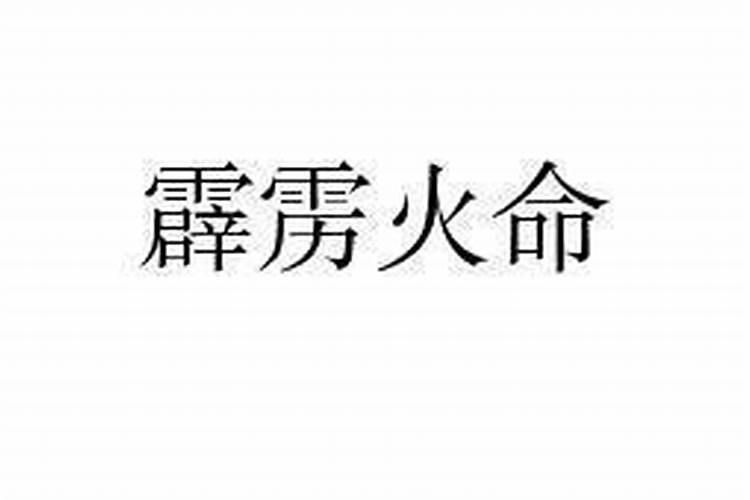 梦见打狼把狼打死了吃肉