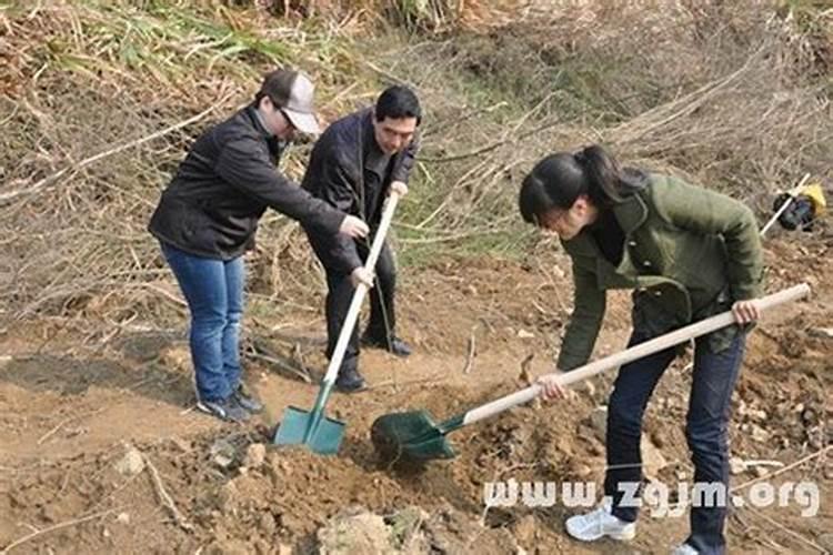 做梦梦到自己铲土