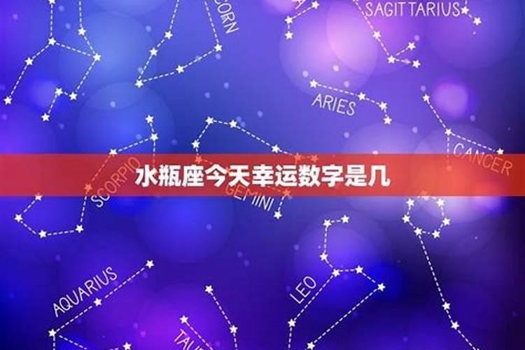 属龙的今年2021年多少岁了啊