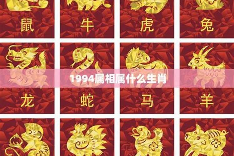 1994年属相是什么