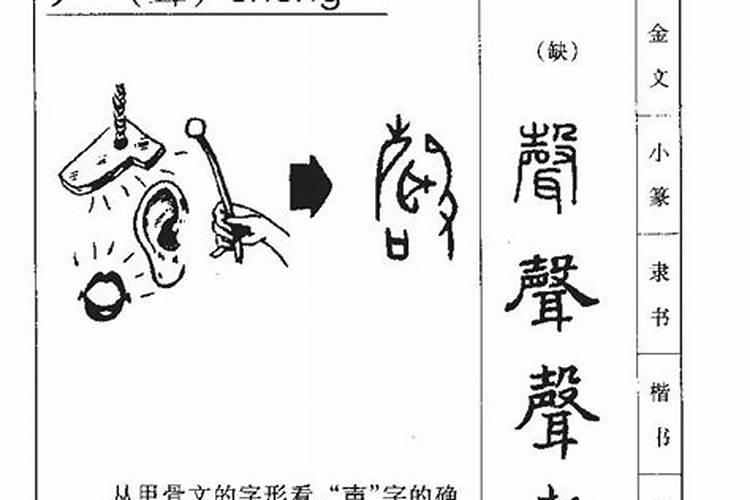 1999年属兔的五行属性