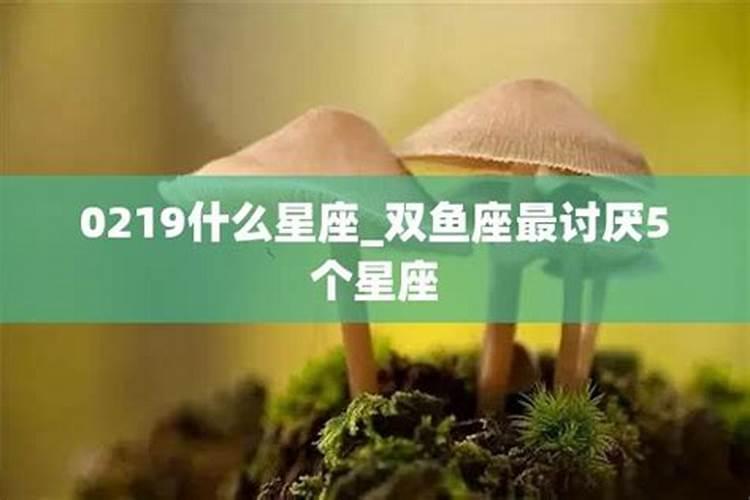 做梦梦到自己喜欢的人是什么意思学生