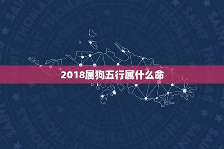 2018狗年五行属什么