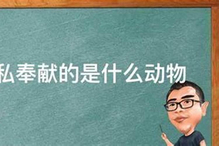 女人梦到锁门