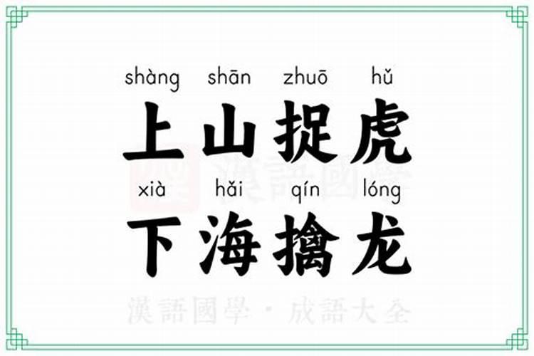 三从四德指的是什么生肖数字