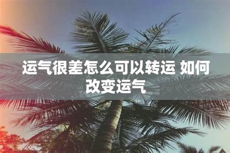 梦到大葱是什么意思周公解梦