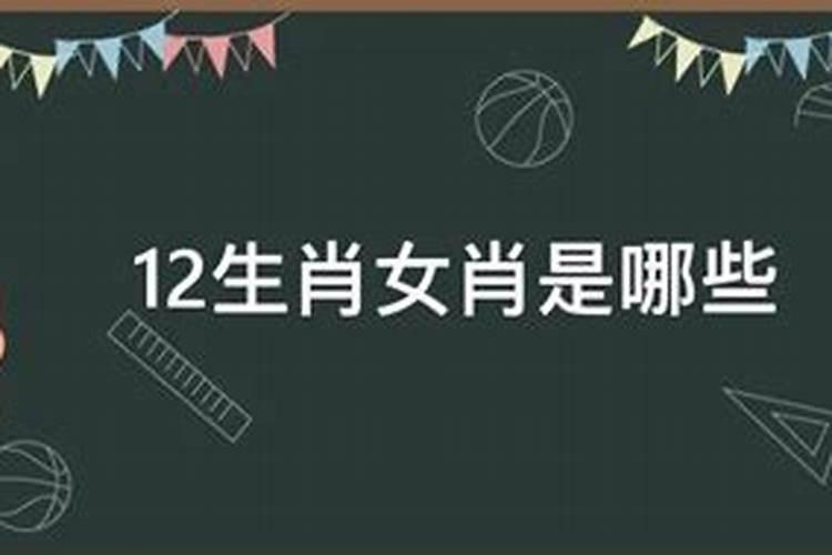 19岁属什么生肖2023