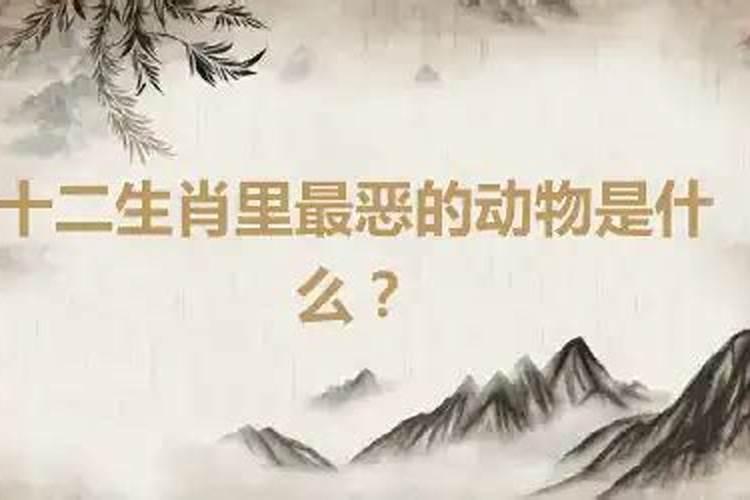 康熙字典婧字五行属什么