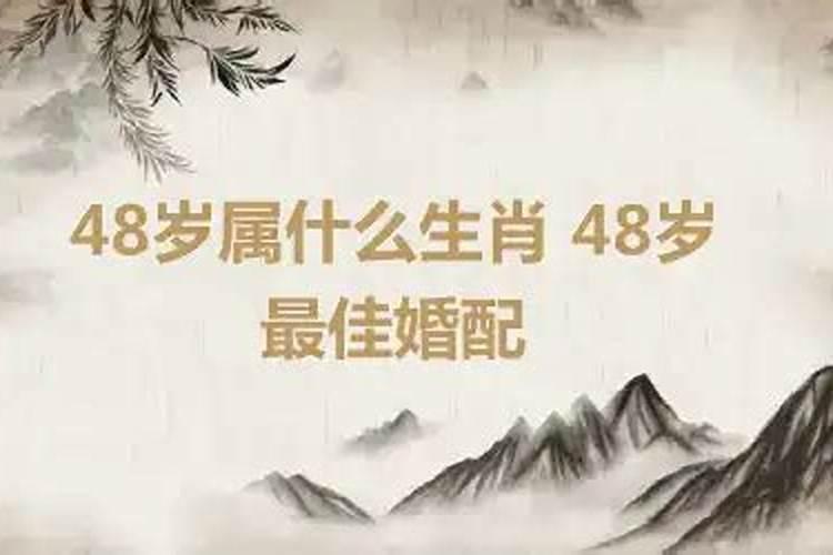 8岁属什么生肖的