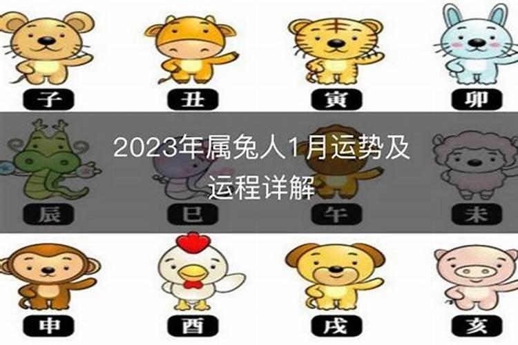 2030年的属相