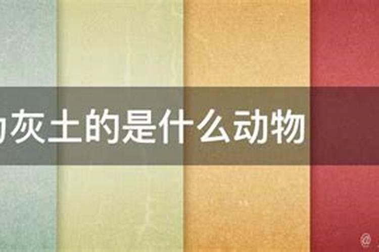 农历1996年11月25日生辰八字