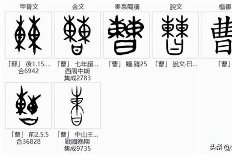 属鸡的跟属猪的合吗