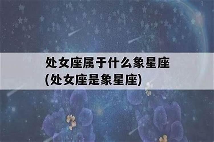 梦到蛇周公解梦