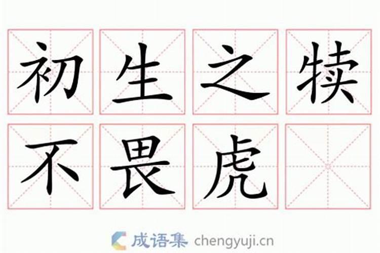 食伤是什么意思八字