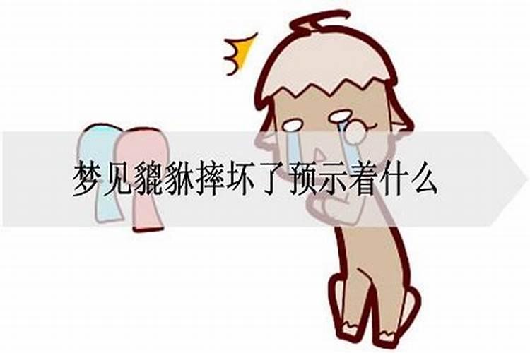 处女座女生和什么星座男生最配陶白白