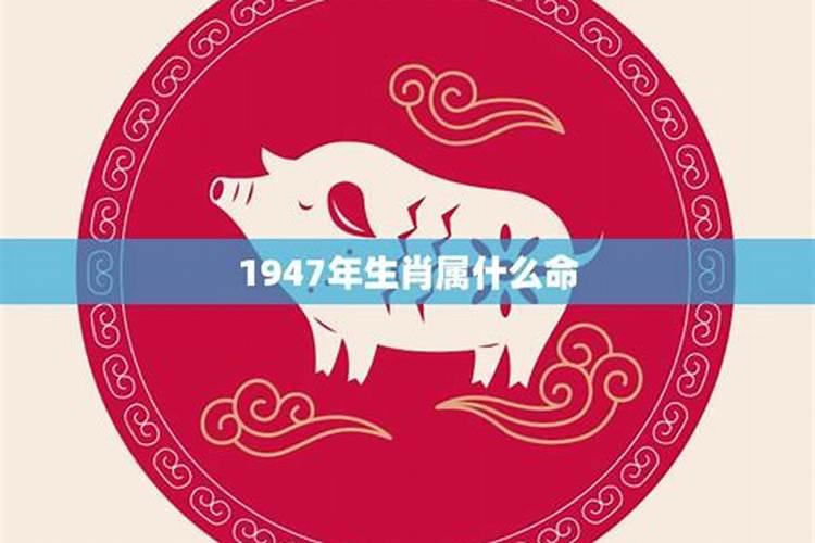 已婚女人梦见老公开车回来了