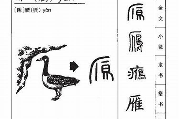 梦到好几条蛇缠在一起是什么意思