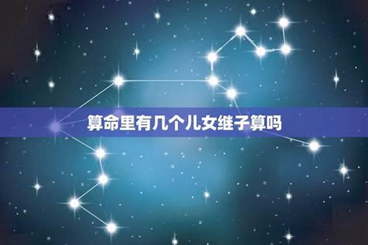 夜里生肖是哪几肖