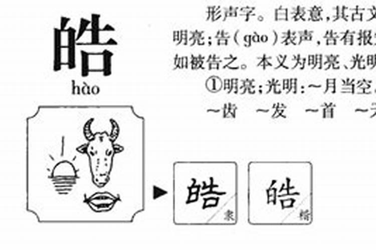 农历8月五行属性是什么