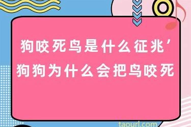 梦见已经死去的亲人还活着还问我要毛巾